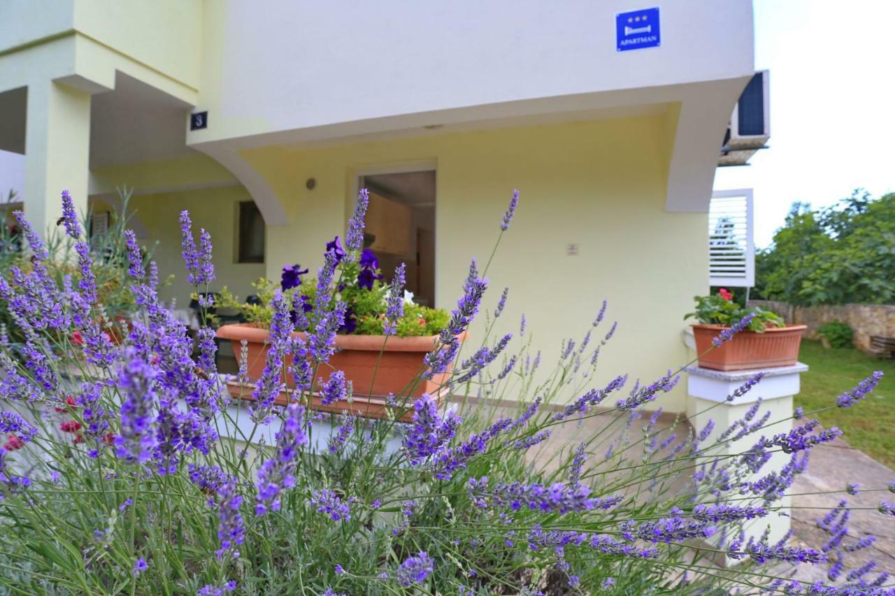 Apartments Romansa Zaton  Exterior photo